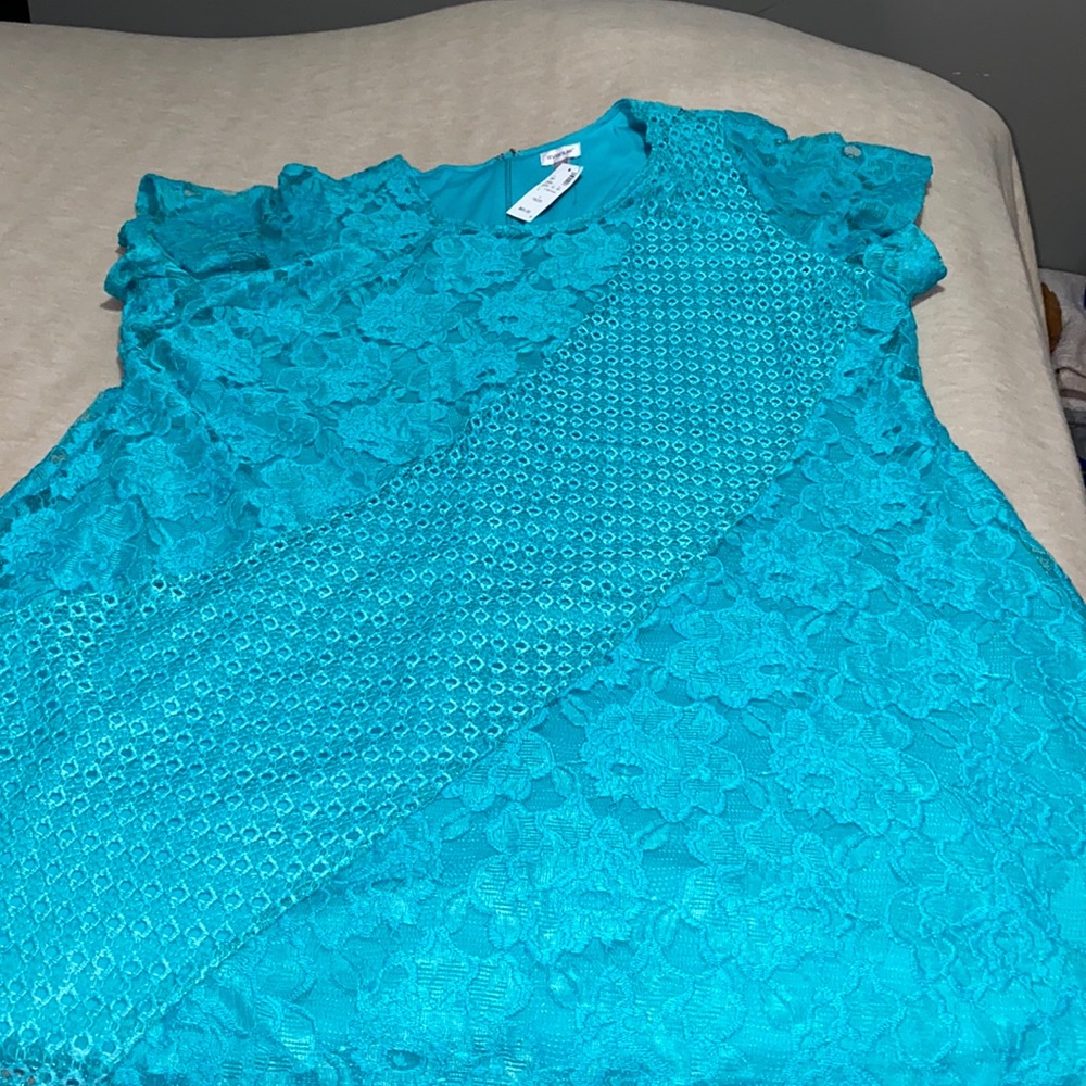 NWT Avenue 18/20 Petite Dress